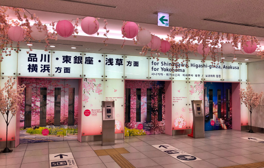 羽田空港 桜プロモーション